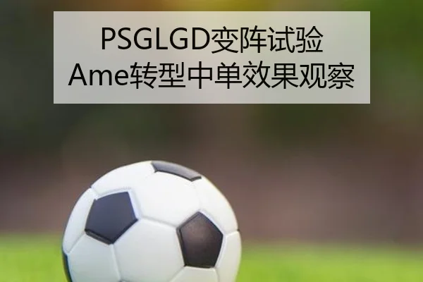 PSGLGD变阵试验 Ame转型中单效果观察