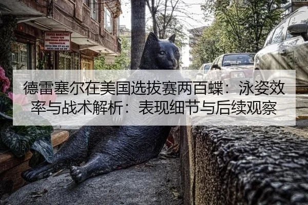德雷塞尔在美国选拔赛两百蝶：泳姿效率与战术解析：表现细节与后续观察