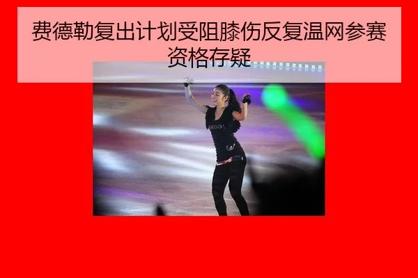 fei-de-lei-fu-chu-ji-hua-shou-zu-xi-shang-fan-fu-wen-wang-can-sai-zi-ge-cun-yi-2-238.jpg