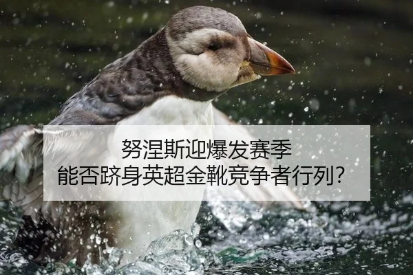 努涅斯迎爆发赛季 能否跻身英超金靴竞争者行列？