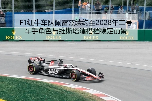 hong-niu-che-dui-pei-lei-zi-xu-yue-zhi-nian-er-hao-che-shou-jue-se-yu-wei-si-ta-pan-da-dang-wen-ding-qian-jing-3-961.jpg
